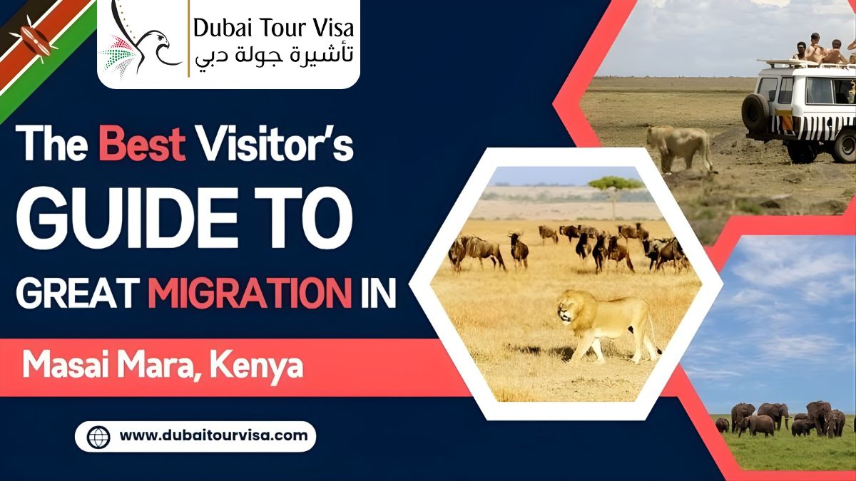 Best Visitor Guide to Great Migration in Masai Mara, Kenya
